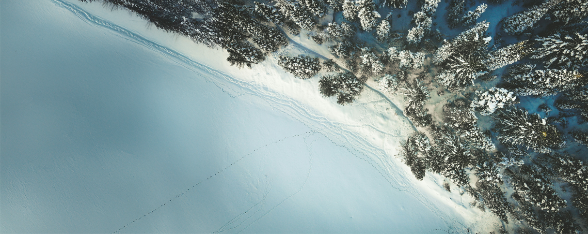 Parasec Alert - January 2026